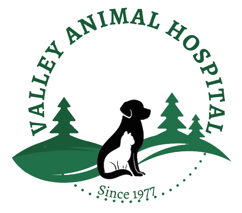 Ohio Pet Vet Valley Animal Hospital